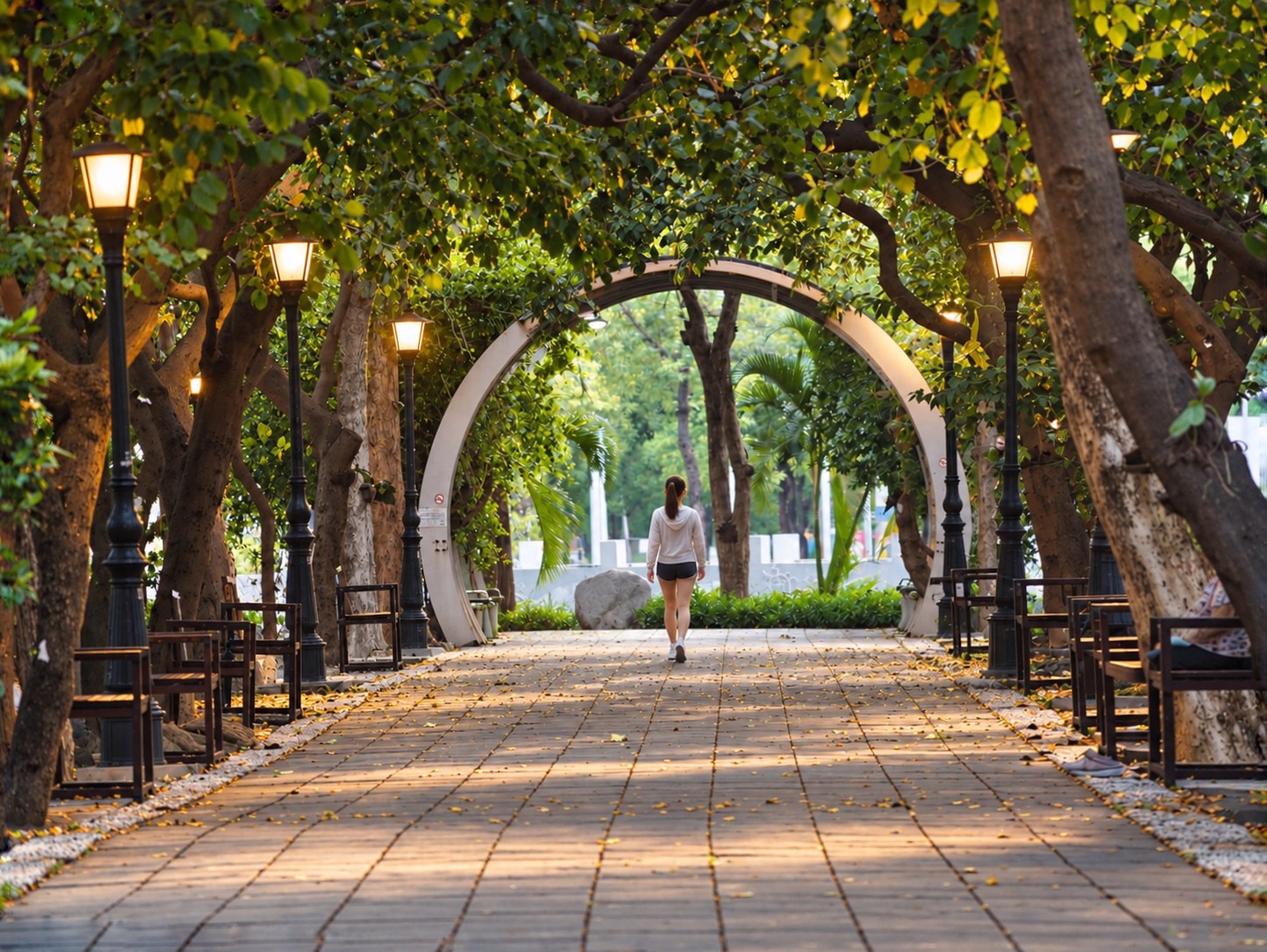 彩虹公園林蔭步道