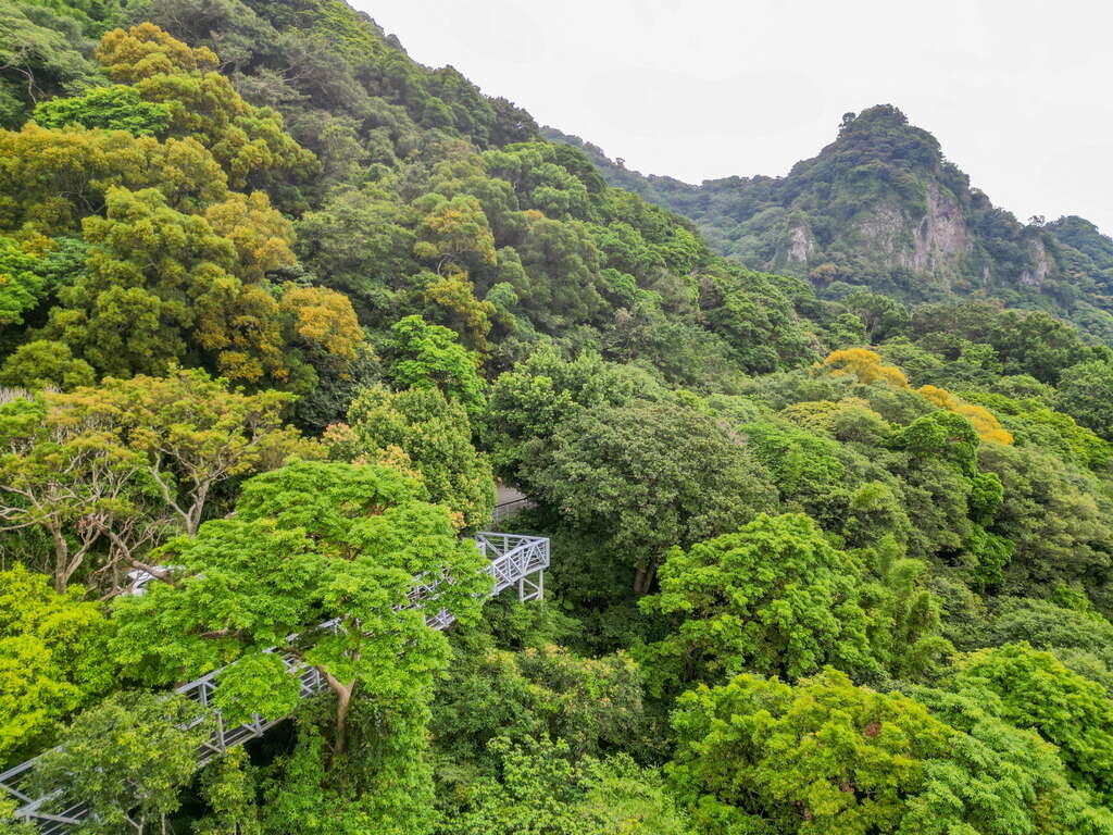 觀音山林梢步道（圖片來源：新北市政府觀光旅遊局）