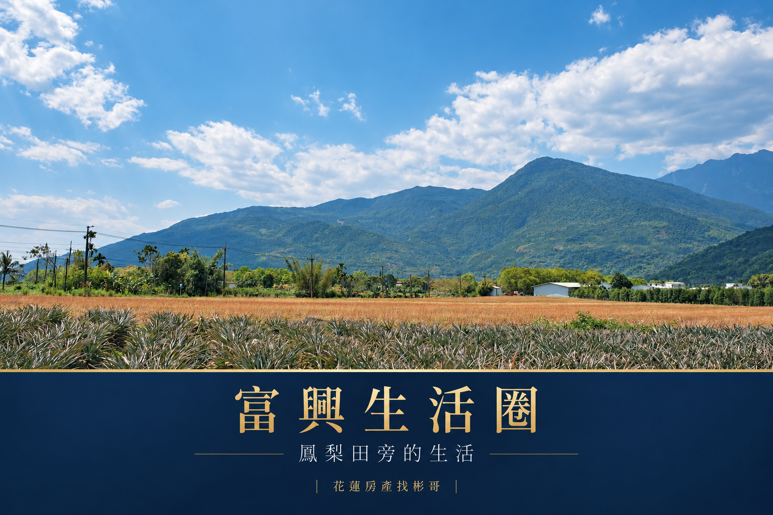 富興開箱封面