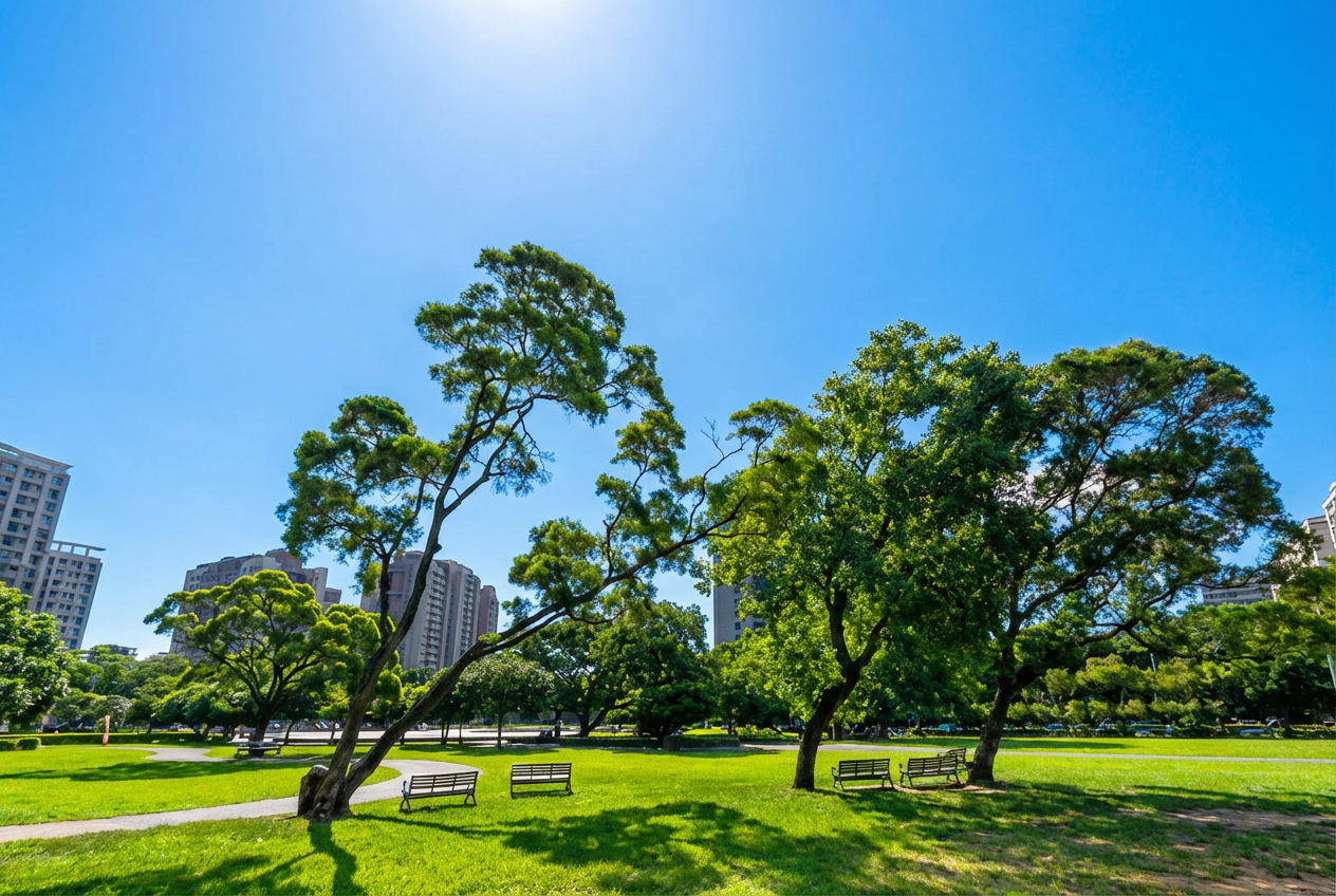 林口運動公園步道晨間景象，林口生活圈綠地休閒資源