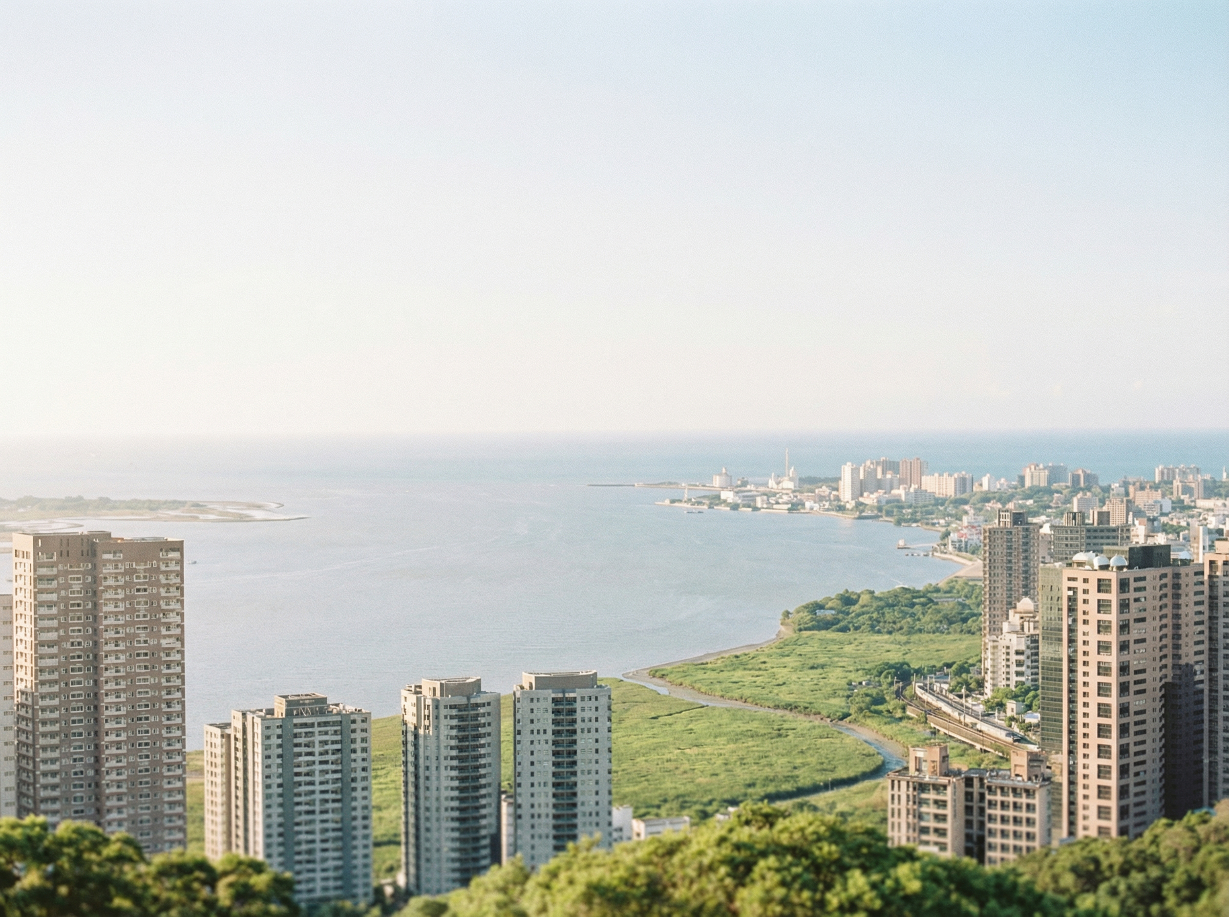 紅樹林海景