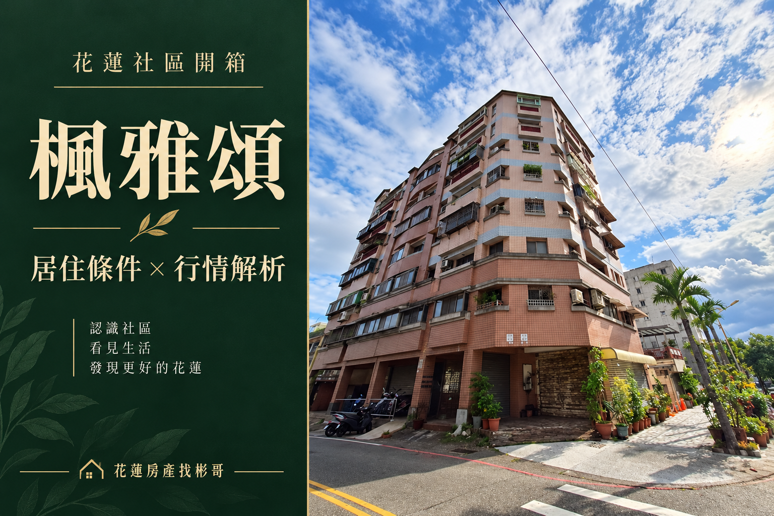 楓雅頌開箱封面