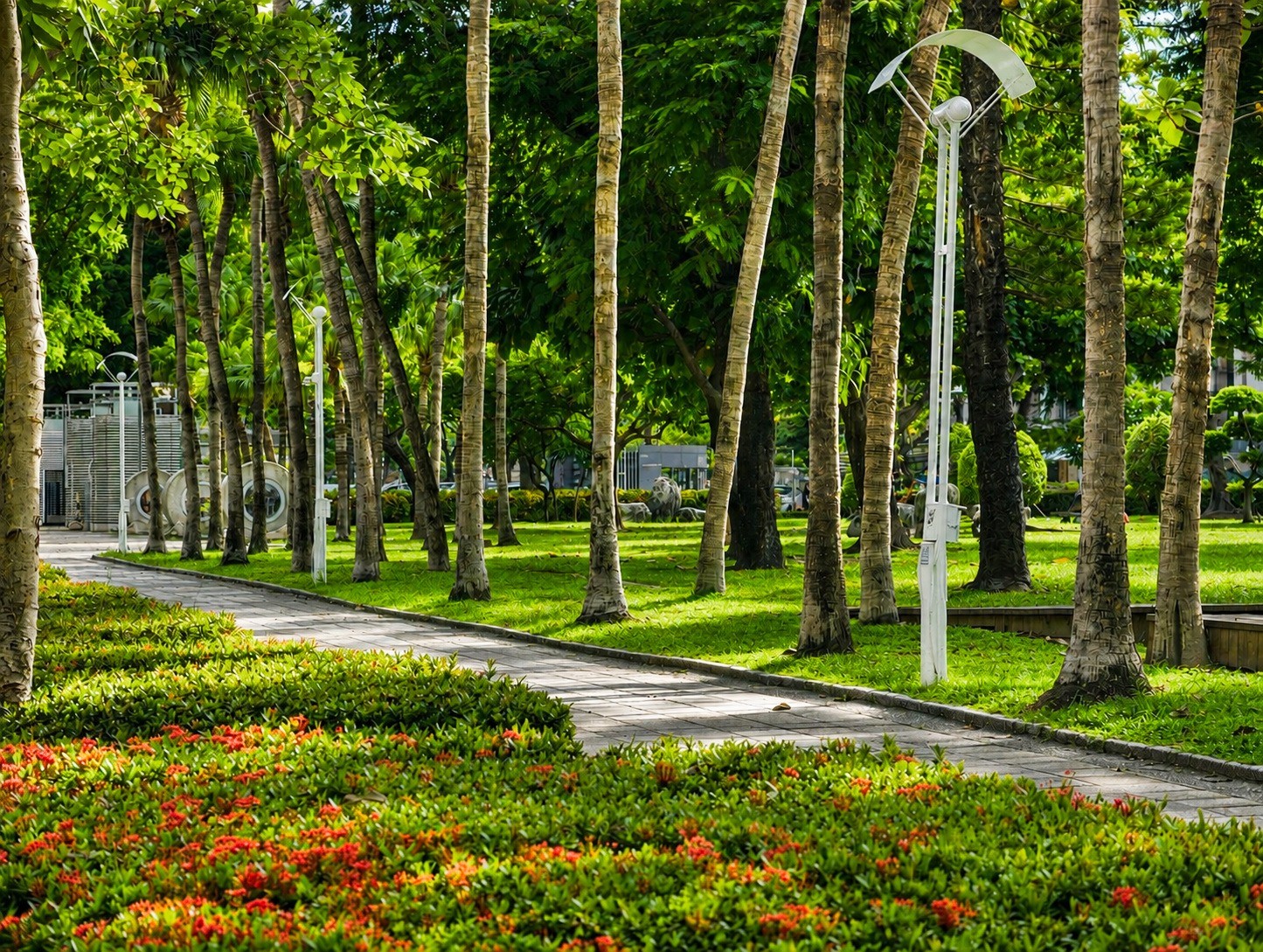 文化中心周邊綠地與步行空間,是這個生活圈最具辨識度的日常風景。